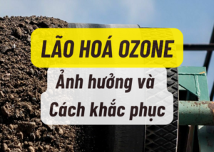 Ảnh hưởng của Ozone đến cao su