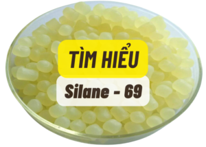 Tìm hiểu Silane 69